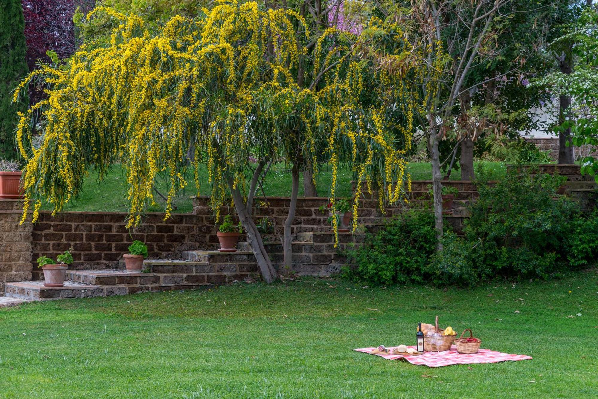 Villa Gli Eucalipti Cerveteri Exterior foto
